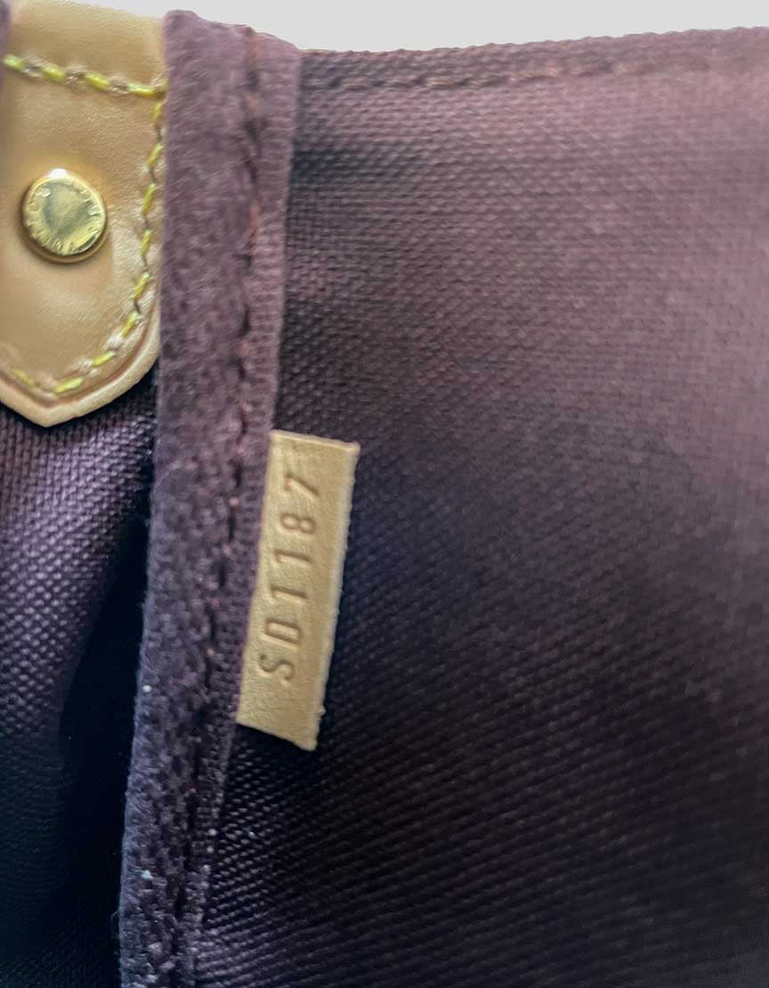 Louis Vuitton Favorite Handbag Monogram Canvas Mm With Strap