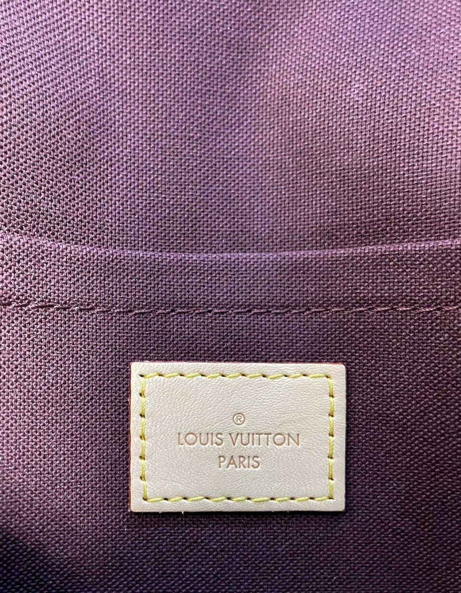 Louis Vuitton Favorite Handbag Monogram Canvas Mm With Strap