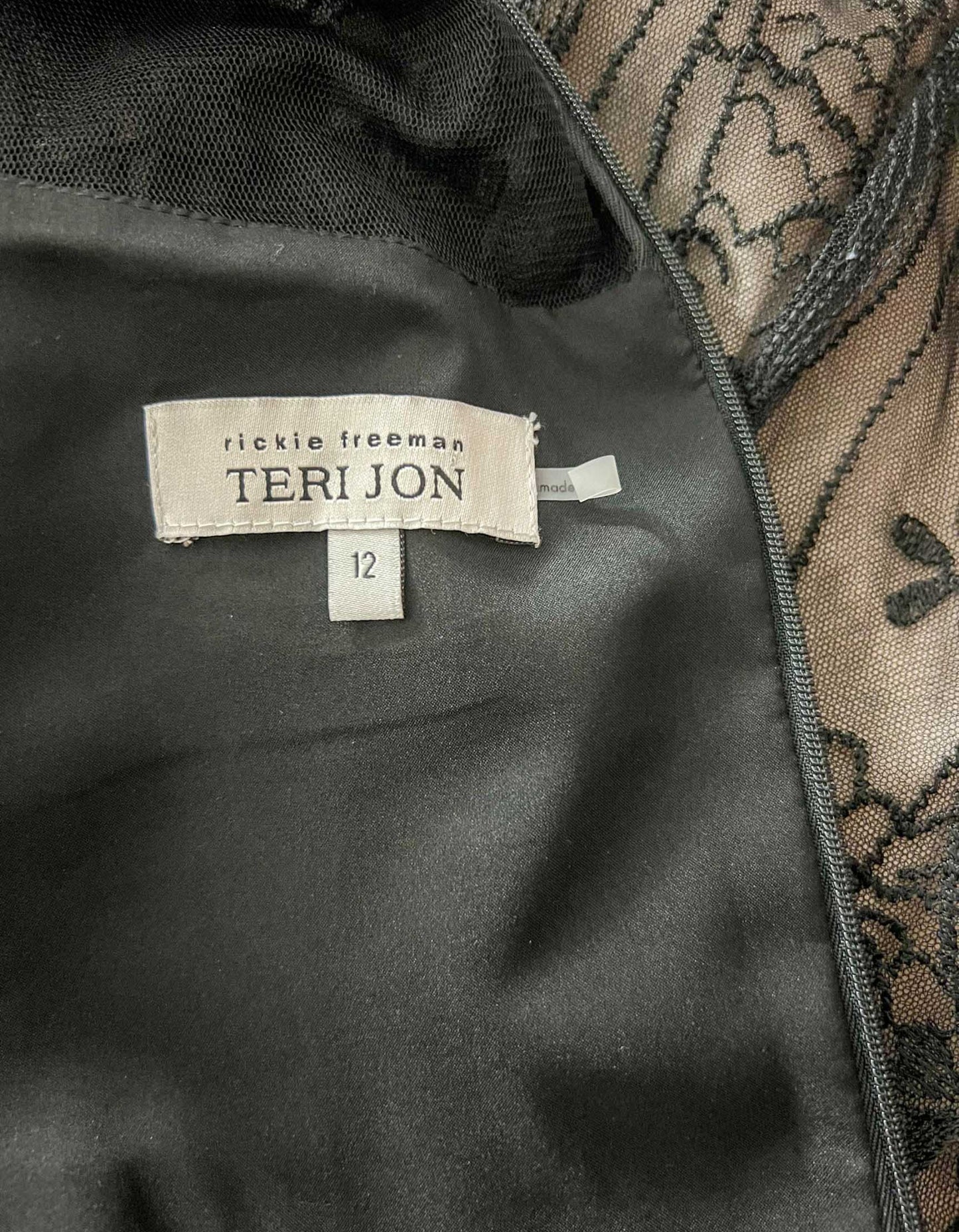 TERI JON BY RICKIE FREEMAN Long Dress - 12 US