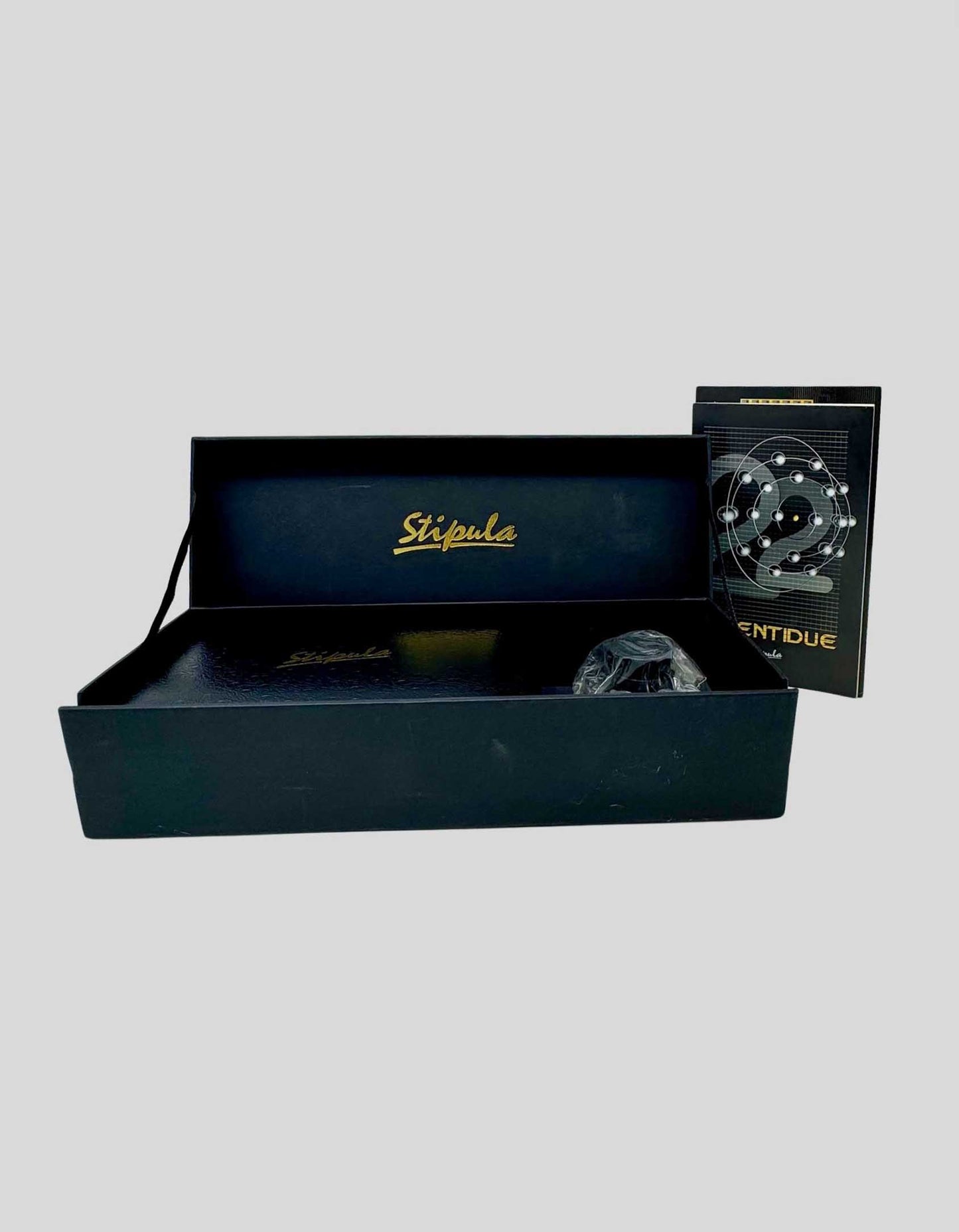 IL TITANIO E LA “22” Stipula Fountain Pen