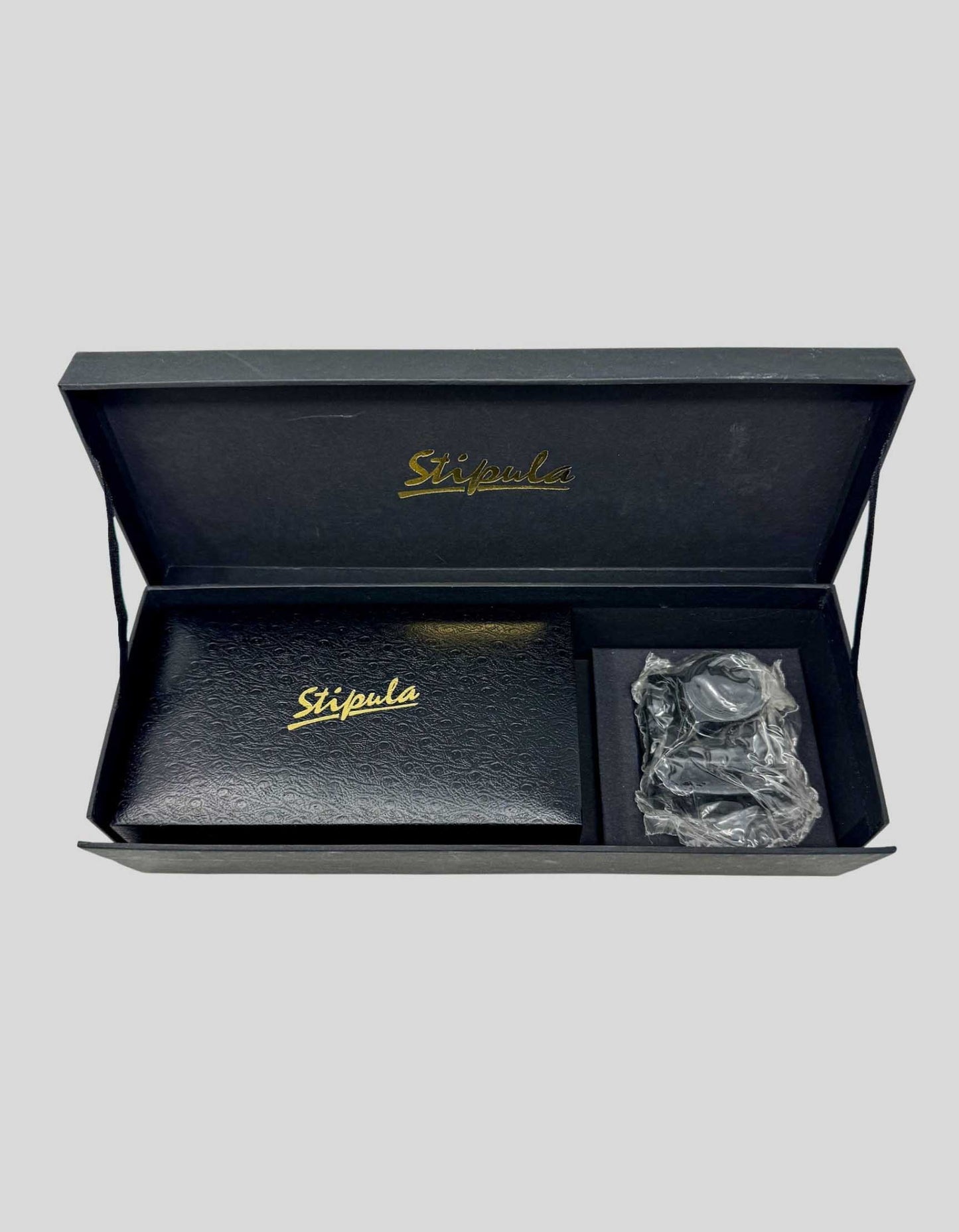 IL TITANIO E LA “22” Stipula Fountain Pen