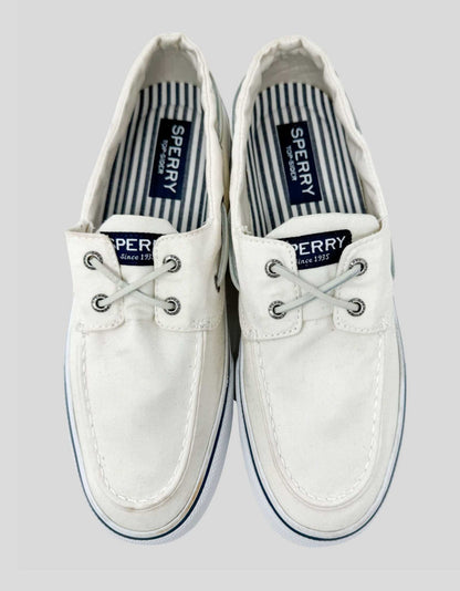 SPERRY Canvas Sneakers - 10 US
