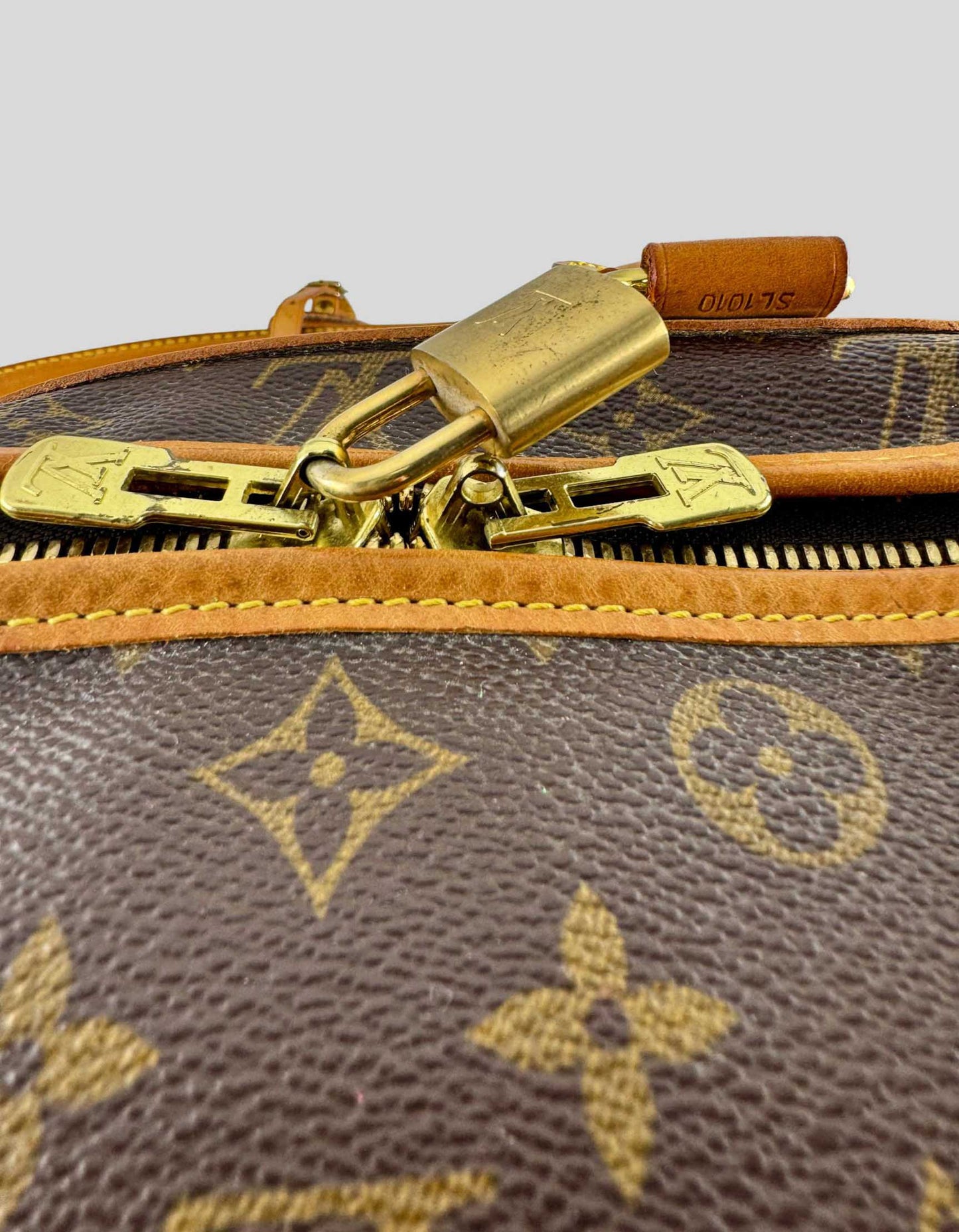 LOUIS VUITTON Monogram Sac Chien Pet Carrier 50