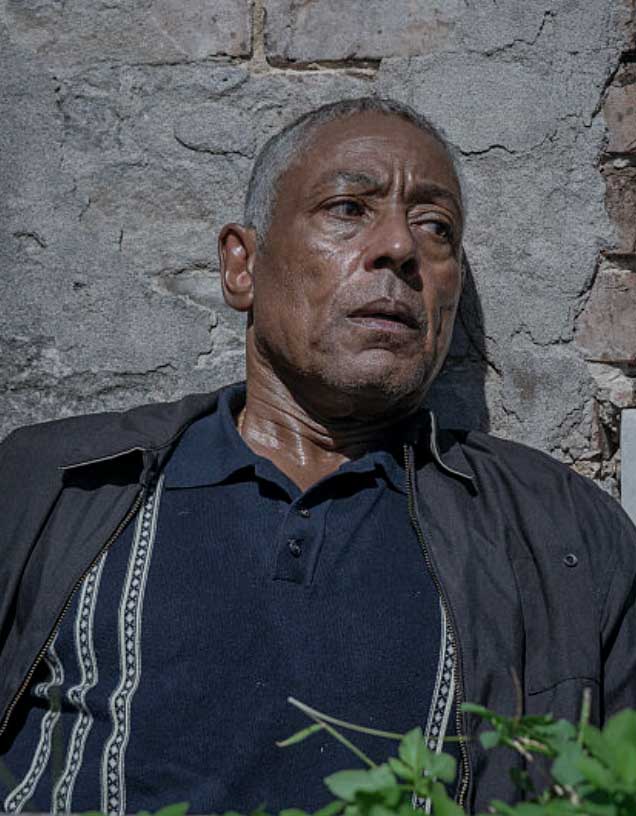 BARQUE Vintage Jacquard Knit Polo – Medium